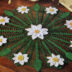 Crocheting the Daisy Doily Pattern