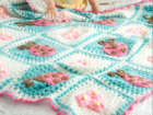 Read this article: Bugs and Blooms Crochet Blanket Pattern