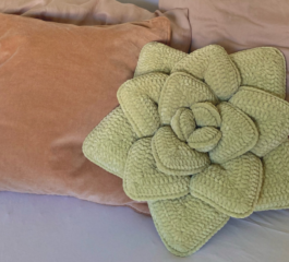 Succulent Pillow Crochet Pattern