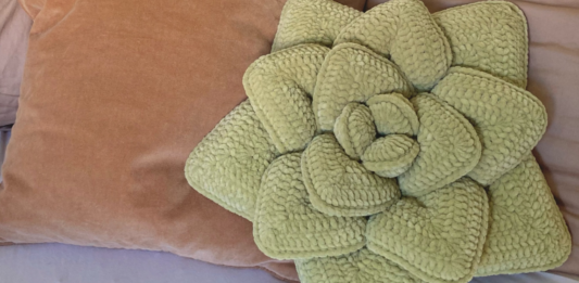 Succulent Pillow Crochet Pattern