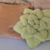 Succulent Pillow Crochet Pattern